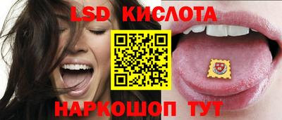 индика Гагарин