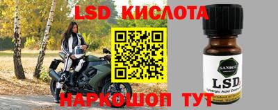 индика Гагарин