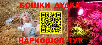ПСИЛОЦИБИНОВЫЕ ГРИБЫ Гай