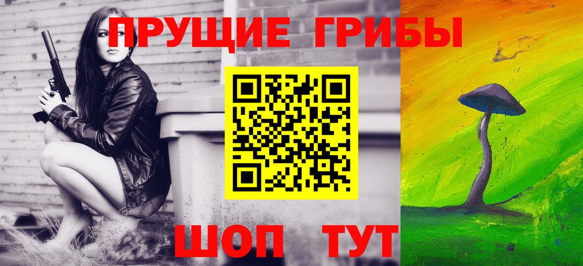 Донской  Псилоцибиновые грибы прущие грибы  Вход с VPN 